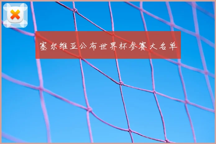 塞尔维亚公布世界杯参赛大名单