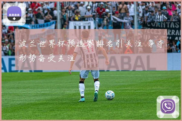 波兰世界杯预选赛排名引关注 争夺形势备受关注