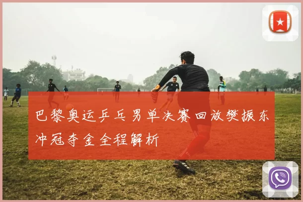 巴黎奥运乒乓男单决赛回放樊振东冲冠夺金全程解析