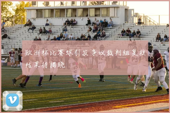 欧洲杯比赛球引发争议裁判组复核结果待揭晓