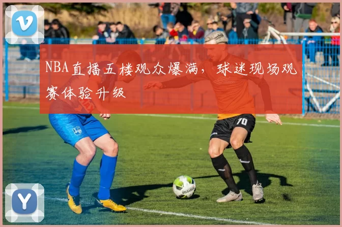 NBA直播五楼观众爆满，球迷现场观赛体验升级