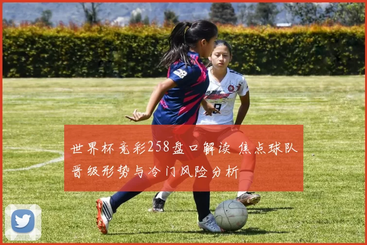世界杯竞彩258盘口解读 焦点球队晋级形势与冷门风险分析