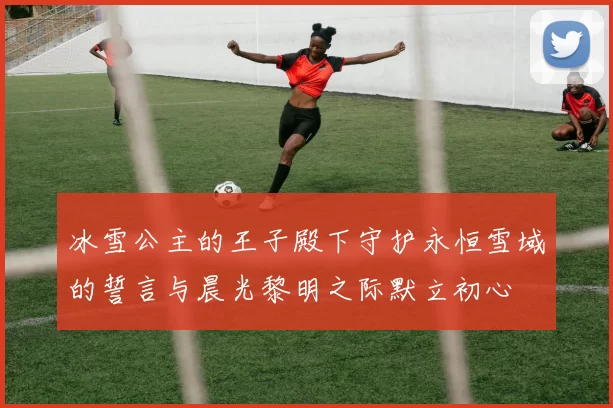 冰雪公主的王子殿下守护永恒雪域的誓言与晨光黎明之际默立初心